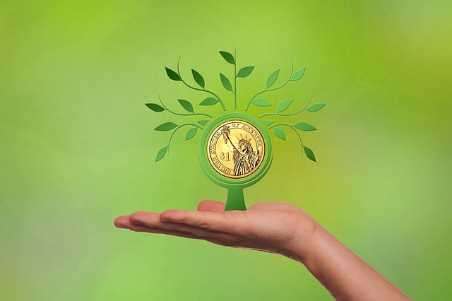 Gelir Artırmanın Günlük Finansal Yöntemleri Gelir Artırmanın Günlük Finansal Yöntemleri